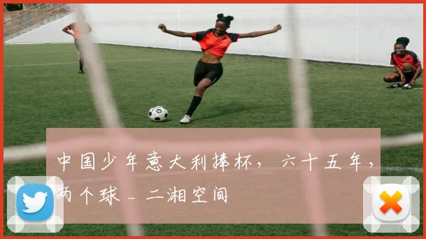 中国少年意大利捧杯,六十五年,两个球 _ 二湘空间