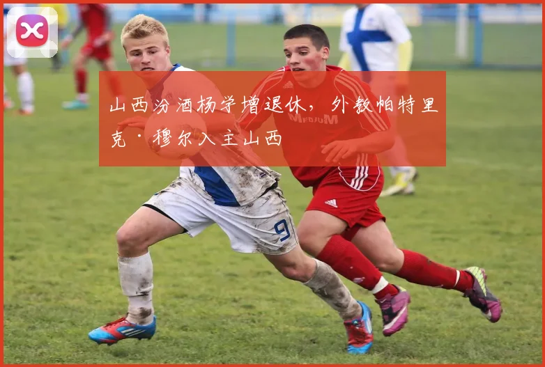 山西汾酒杨学增退休,外教帕特里克·穆尔入主山西